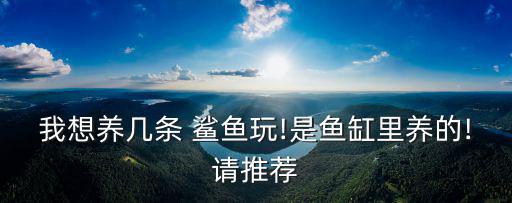 我想養幾條 鯊魚玩!是魚缸里養的!請推薦