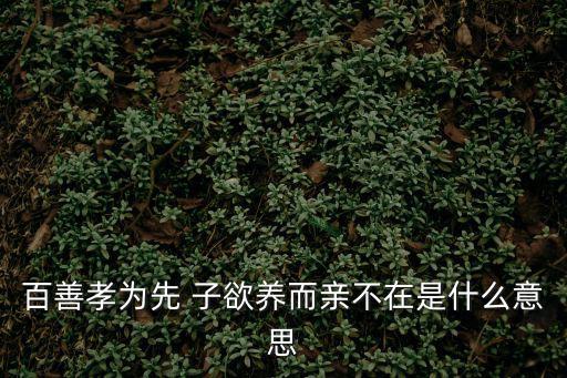 百善孝為先 子欲養而親不在是什么意思