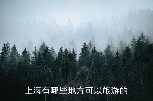 上海有哪些地方可以旅游的