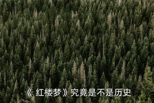 紅樓夢是真實歷史嗎,紅樓夢是一部抽象王室軼事秘史?