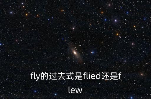  fly的過去式是flied還是flew