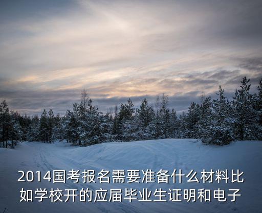 2014國考報名需要準備什么材料比如學校開的應屆畢業生證明和電子
