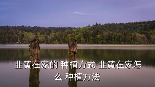 韭黃怎么種植出來的,如何種植韭黃?注意事項有很多!