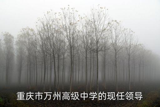 重慶市萬州高級中學的現(xiàn)任領導