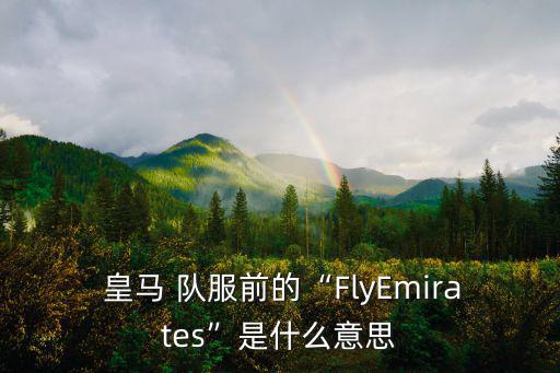  皇馬 隊服前的“FlyEmirates”是什么意思