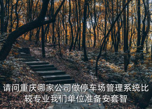 重慶市區(qū)哪兒有賣停車場(chǎng)道閘，重慶主城區(qū)哪些地方有賣車的