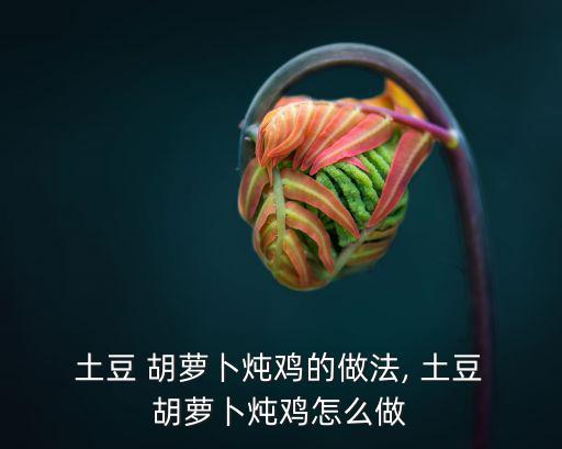  土豆 胡蘿卜燉雞的做法, 土豆 胡蘿卜燉雞怎么做