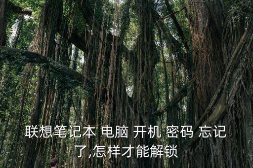 聯(lián)想筆記本 電腦 開機 密碼 忘記了,怎樣才能解鎖