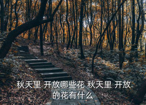  秋天里 開放哪些花 秋天里 開放的花有什么