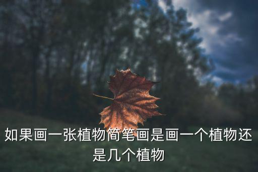 植物圖畫，這四張植物圖片分別叫什么 特別是 那兩個仙人掌 名字請說全一點(diǎn) 說對