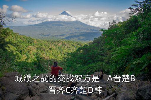 城濮之戰(zhàn)的交戰(zhàn)雙方是   A晉楚B晉齊C齊楚D韓
