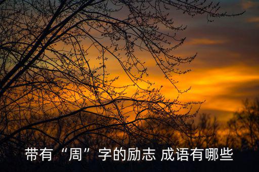 帶有“周”字的勵志 成語有哪些