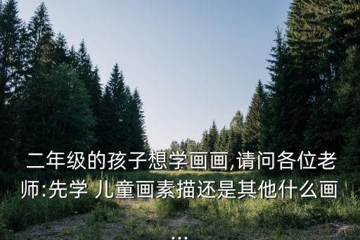  二年級的孩子想學畫畫,請問各位老師:先學 兒童畫素描還是其他什么畫...