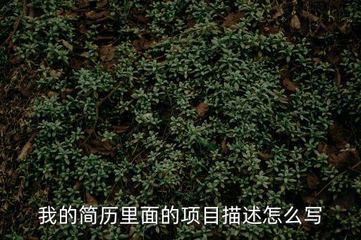 我的簡歷里面的項目描述怎么寫