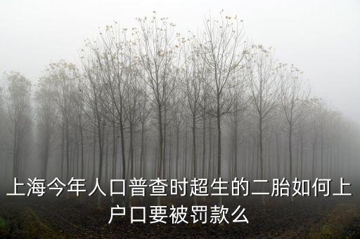 上海今年人口普查時超生的二胎如何上戶口要被罰款么