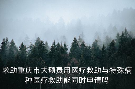 求助重慶市大額費用醫療救助與特殊病種醫療救助能同時申請嗎