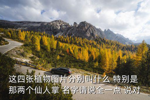 這四張植物圖片分別叫什么 特別是 那兩個仙人掌 名字請說全一點 說對