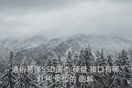通俗易懂SSD固態 硬盤 接口有哪幾種 類型的 圖解