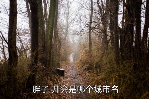 胖子開會,合肥，一群胖子在一起就是合肥