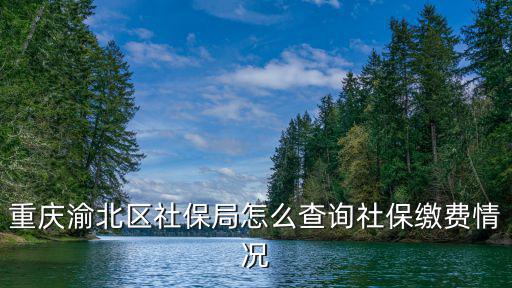重慶市渝北區社保局單位查詢系統，渝北區個人社保怎么查詢