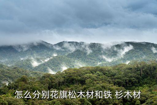鐵杉木,鐵杉木鋸成木板常用作膠合梁和模板支撐