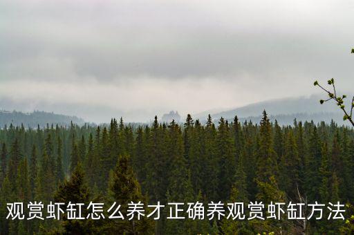 蝦缸,養殖觀賞蝦最適宜水溫25攝氏度
