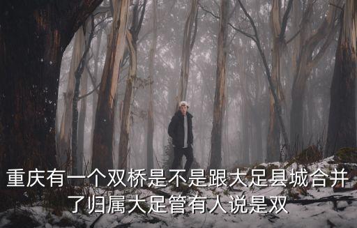 重慶市雙橋區雙路鎮雙橋村，重慶到雙橋區雙橋村在哪坐車