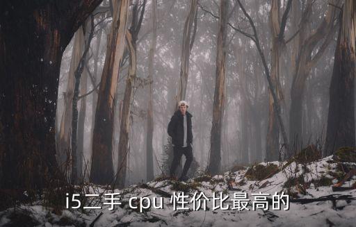 cpu性價(jià)比,e3系列顯卡不受顯卡拖影性價(jià)比優(yōu)良