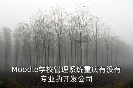 Moodle學(xué)校管理系統(tǒng)重慶有沒有專業(yè)的開發(fā)公司