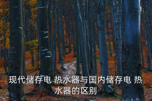 現代儲存電 熱水器與國內儲存電 熱水器的區別