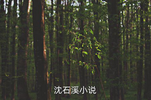 沈石溪小說