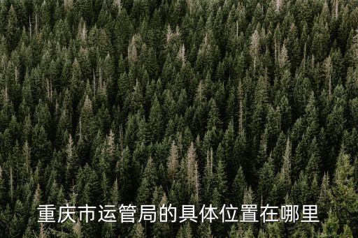 重慶市運管局的具體位置在哪里