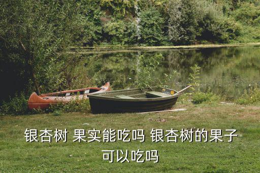  銀杏樹 果實能吃嗎 銀杏樹的果子可以吃嗎