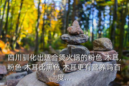 四川馴化出適合燙火鍋的粉色 木耳,粉色 木耳比黑色 木耳更有營養(yǎng)嗎百度...