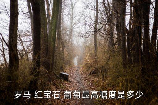 羅馬 紅寶石 葡萄最高糖度是多少