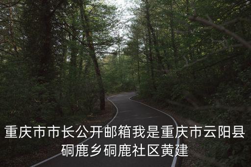 重慶市市長(zhǎng)公開郵箱我是重慶市云陽縣硐鹿鄉(xiāng)硐鹿社區(qū)黃建