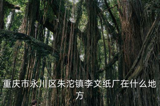 重慶市永川區朱沱鎮李文紙廠在什么地方