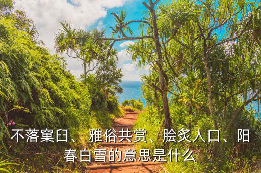 不落窠臼、 雅俗共賞、膾炙人口、陽春白雪的意思是什么