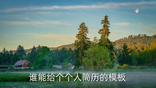 誰能給個個人簡歷的模板