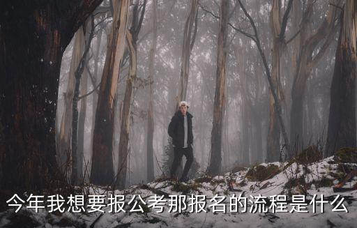 報考流程，今年我想要報公考那報名的流程是什么