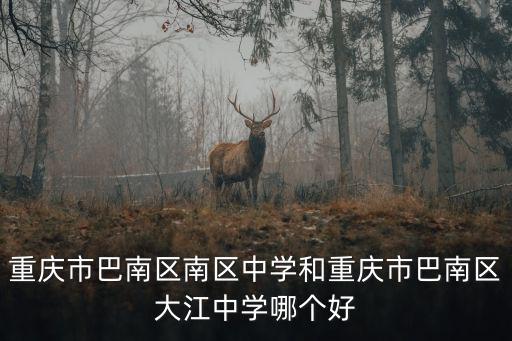 重慶市巴南區(qū)大江中學(xué)2019級(jí)，重慶市巴南區(qū)大江中學(xué)招分線是
