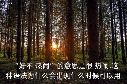 “好不 熱鬧”的意思是很 熱鬧,這種語法為什么會出現什么時候可以用