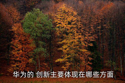  華為的 創新主要體現在哪些方面