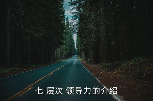 七 層次 領(lǐng)導(dǎo)力的介紹