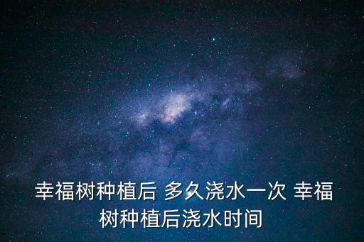 幸福樹多久澆一次水,幸福樹可以吊空澆水一天一次