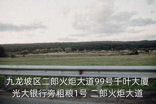 九龍坡區(qū)二郎火炬大道99號(hào)千葉大廈光大銀行旁粗糧1號(hào) 二郎火炬大道