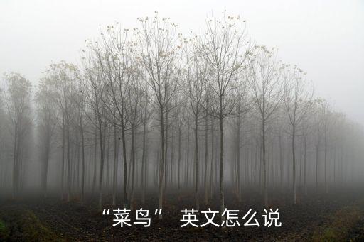 新手的英文,英文對紅茶的翻譯是什么?