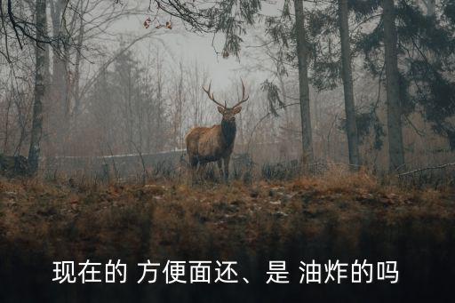 現在的 方便面還、是 油炸的嗎