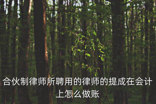 合伙制律師所聘用的律師的提成在會計上怎么做賬