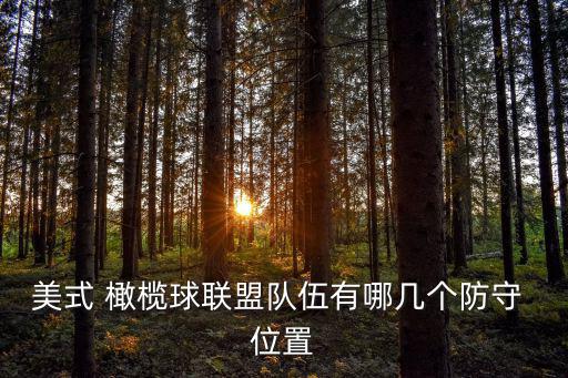 橄欖球位置,橄欖球聯賽重量標準